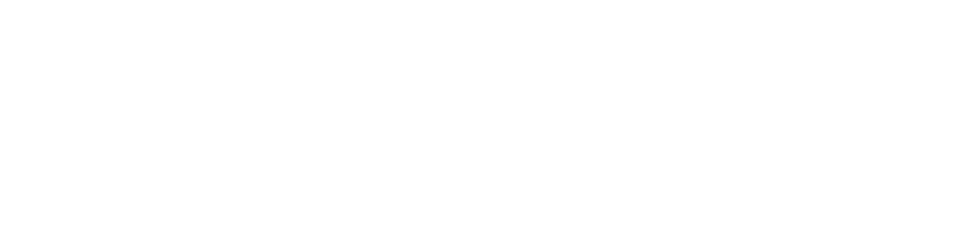 Aderian logo